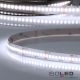 LED HEQ960 Flexband High Bright, 24V, 22W, IP20, kaltweiß (A114918)